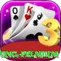 347luck Gaming Premium