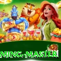 35733 - Gaming Master